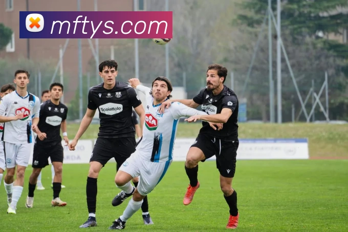 多媒体互动体验